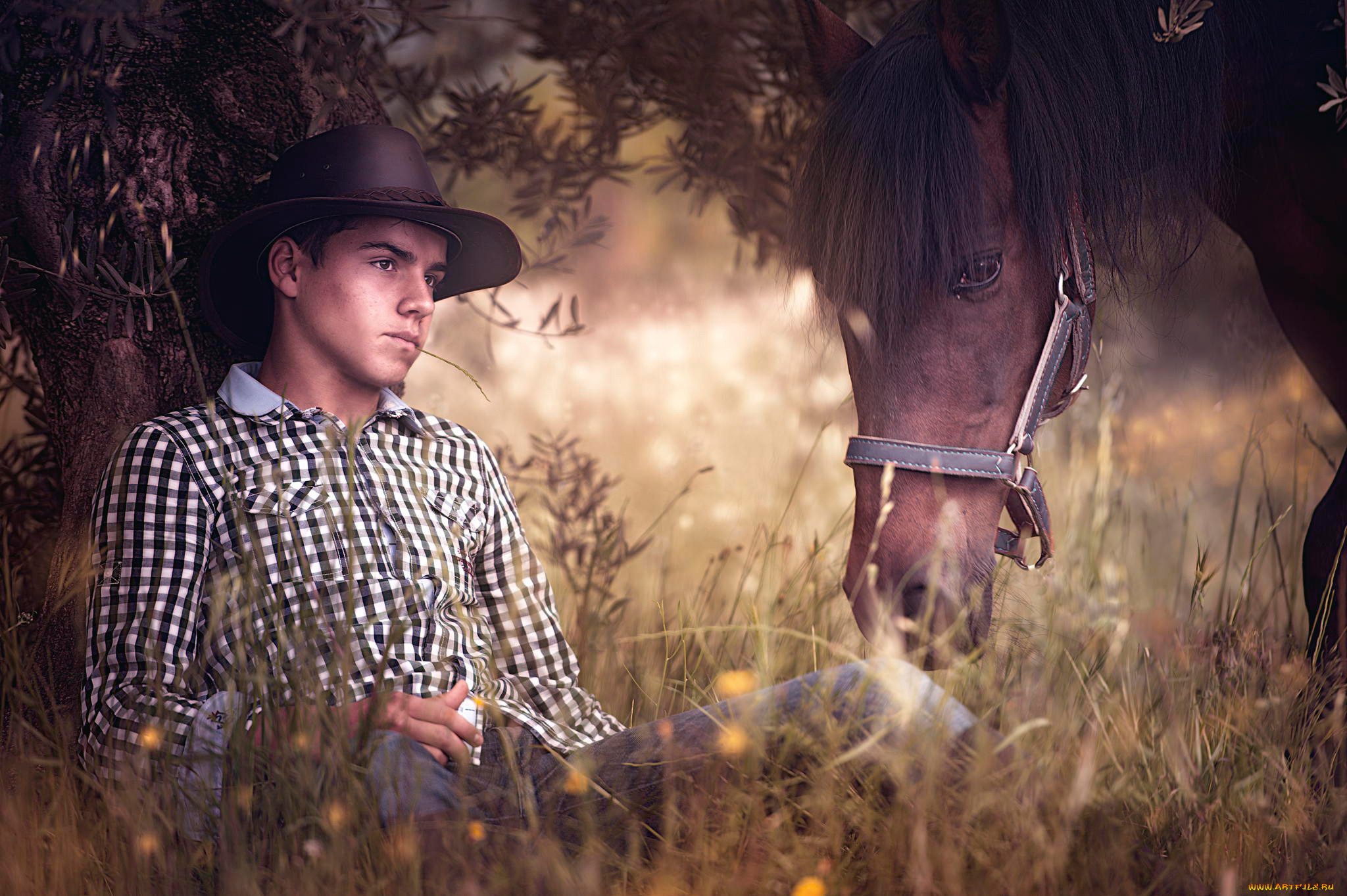 Мужчина бык и мужчина лошадь. Мужская фотосессия с лошадью. Парень на лошади. Мужская фотосессия в поле. Красивый парень с лошадью.